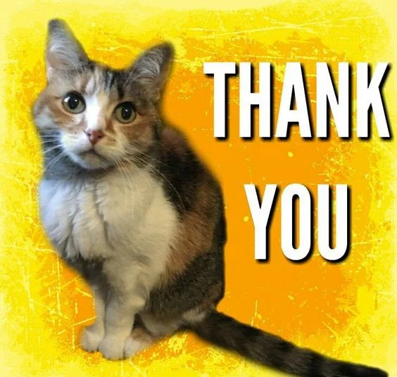 Thank you meme - Tổng hợp meme thank you