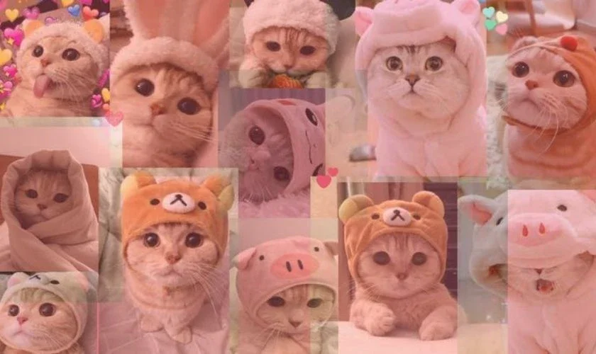 Hình nền máy tính cute tạo cảm hứng làm việc