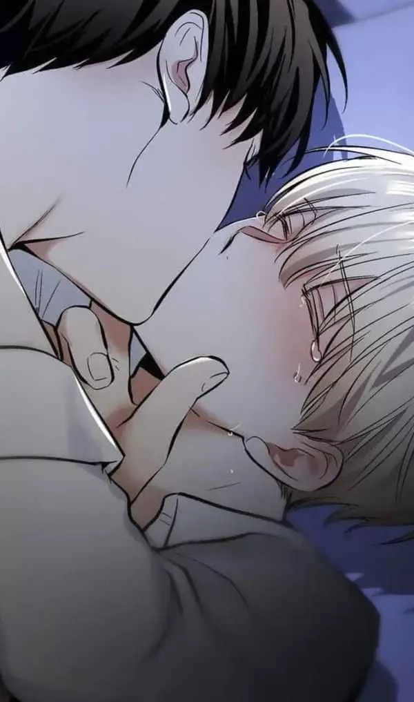 Mẫu sẽ gầy anime la gì thứ 7