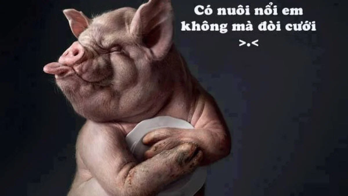 Hình ảnh hài hước bá đạo