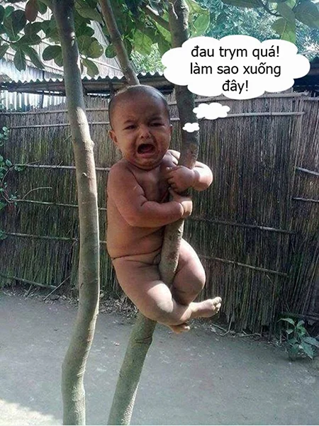 Ảnh hài hước, cute, chế, bựa, bá đạo nhất